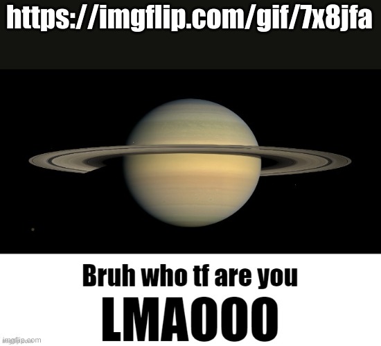 Bruh who tf are you LMAOOO | https://imgflip.com/gif/7x8jfa | image tagged in bruh who tf are you lmaooo | made w/ Imgflip meme maker