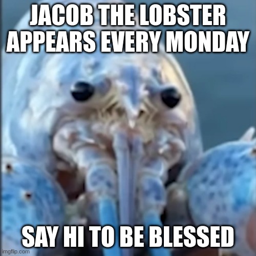 JACOB THE LOBSTER APPEARS EVERY MONDAY; SAY HI TO BE BLESSED | made w/ Imgflip meme maker