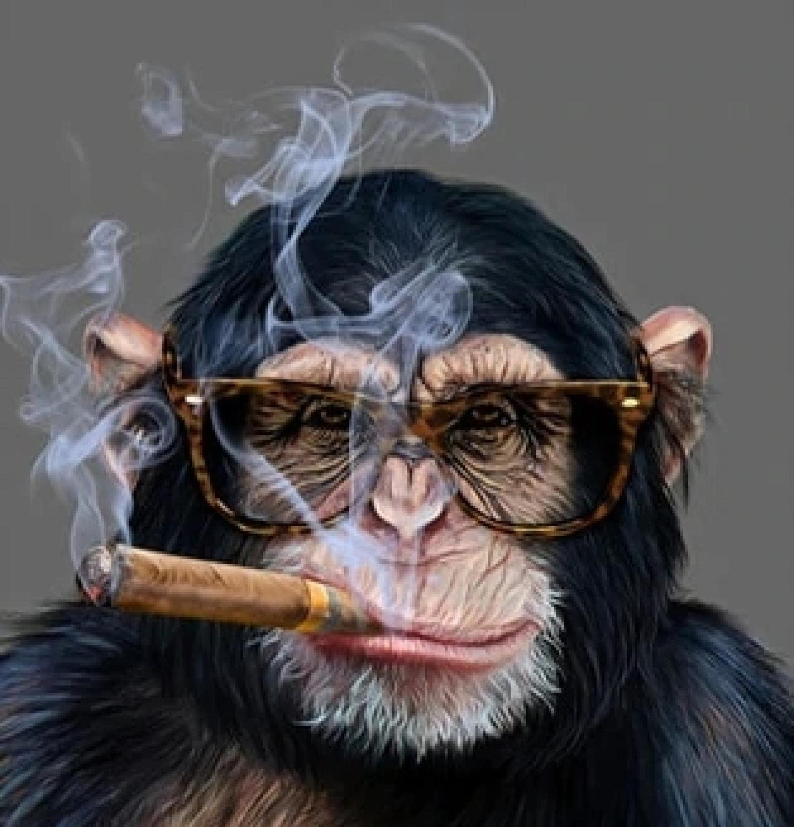 Cigarette monkey Blank Meme Template