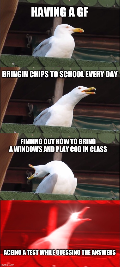 every thing u did in school | HAVING A GF; BRINGIN CHIPS TO SCHOOL EVERY DAY; FINDING OUT HOW TO BRING A WINDOWS AND PLAY COD IN CLASS; ACEING A TEST WHILE GUESSING THE ANSWERS | image tagged in memes,inhaling seagull | made w/ Imgflip meme maker
