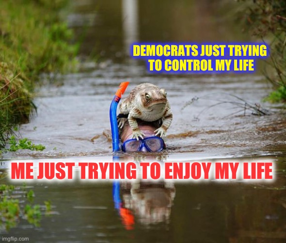 Mandates: Vax - Masks - Cars -Stoves - Furnaces - Etc | DEMOCRATS JUST TRYING 
TO CONTROL MY LIFE; ME JUST TRYING TO ENJOY MY LIFE | image tagged in snorkel frog | made w/ Imgflip meme maker