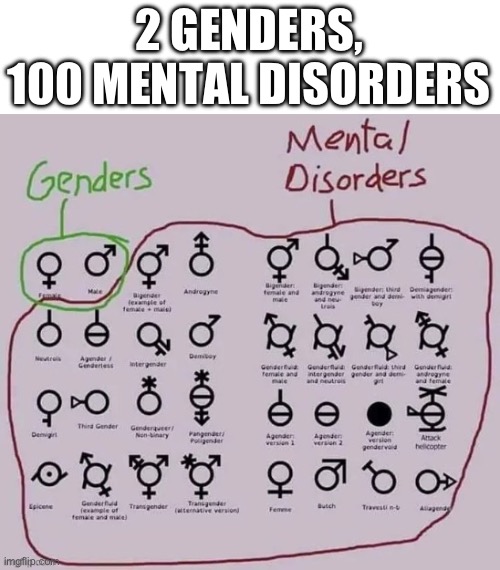 I am too lazy to count all of them | 2 GENDERS, 100 MENTAL DISORDERS | image tagged in anti-lgbtq meme post on lgbtq stream | made w/ Imgflip meme maker