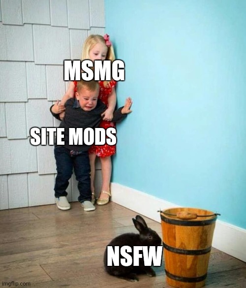 W..w.wow | MSMG; SITE MODS; NSFW | image tagged in children scared of rabbit | made w/ Imgflip meme maker