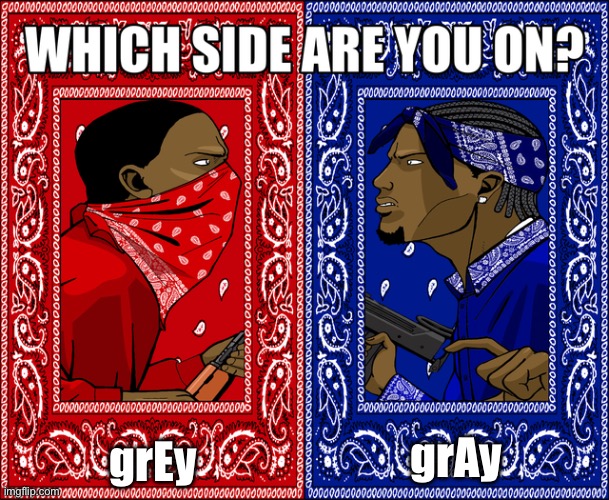 WHICH SIDE ARE YOU ON? | grEy; grAy | image tagged in which side are you on | made w/ Imgflip meme maker