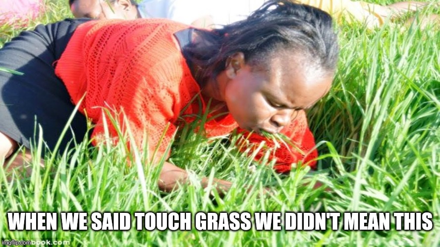 Why | WHEN WE SAID TOUCH GRASS WE DIDN'T MEAN THIS | image tagged in eating grass | made w/ Imgflip meme maker