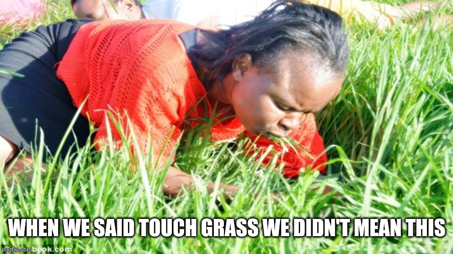 How to touch grass Meme Generator - Imgflip