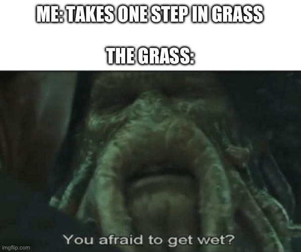 Wet shoe | ME: TAKES ONE STEP IN GRASS
 
THE GRASS: | image tagged in afraid to get wet | made w/ Imgflip meme maker
