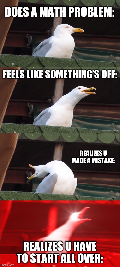 doing class work | DOES A MATH PROBLEM:; FEELS LIKE SOMETHING’S OFF:; REALIZES U MADE A MISTAKE:; REALIZES U HAVE TO START ALL OVER: | image tagged in memes,inhaling seagull,school,math | made w/ Imgflip meme maker