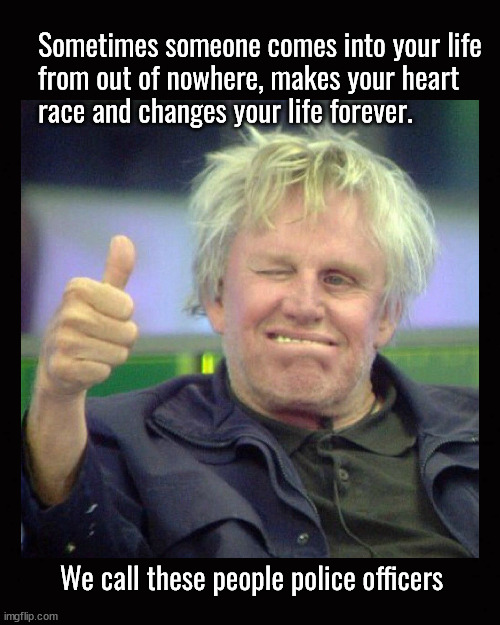 Sometimes someone comes into your life from out of nowhere, makes your heart  race and changes your life forever. | Sometimes someone comes into your life
from out of nowhere, makes your heart 
race and changes your life forever. We call these people police officers | image tagged in gary busey,gary busey approves | made w/ Imgflip meme maker