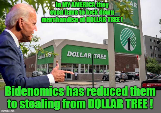 When I read this, was sure it was satire | In MY AMERICA they even have to lock down merchandise at DOLLAR TREE ! Bidenomics has reduced them to stealing from DOLLAR TREE ! | image tagged in dollar tree bidenomics theft meme | made w/ Imgflip meme maker