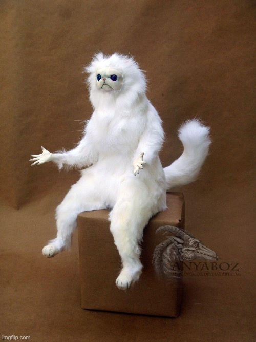 Persian Cat Room Guardian Single | image tagged in memes,persian cat room guardian single | made w/ Imgflip meme maker
