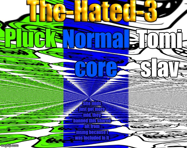 The-Hated-3 announcement temp | Site mids just got more mid, they banned this shared alt from msmg because i was included in it | image tagged in the-hated-3 announcement temp | made w/ Imgflip meme maker
