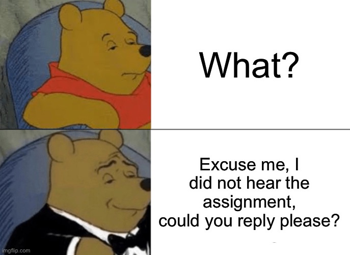 Tuxedo Winnie The Pooh | What? Excuse me, I did not hear the assignment, could you reply please? | image tagged in memes,tuxedo winnie the pooh | made w/ Imgflip meme maker