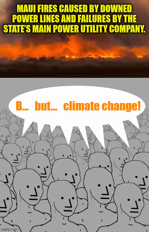 Another climate change lie debunked... | MAUI FIRES CAUSED BY DOWNED POWER LINES AND FAILURES BY THE STATE’S MAIN POWER UTILITY COMPANY. B...   but...   climate change! | image tagged in npc-crowd,climate change,lies,media lies | made w/ Imgflip meme maker