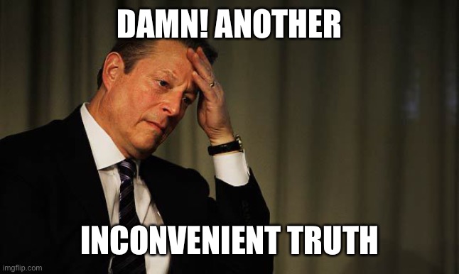 Al Gore Facepalm | DAMN! ANOTHER INCONVENIENT TRUTH | image tagged in al gore facepalm | made w/ Imgflip meme maker