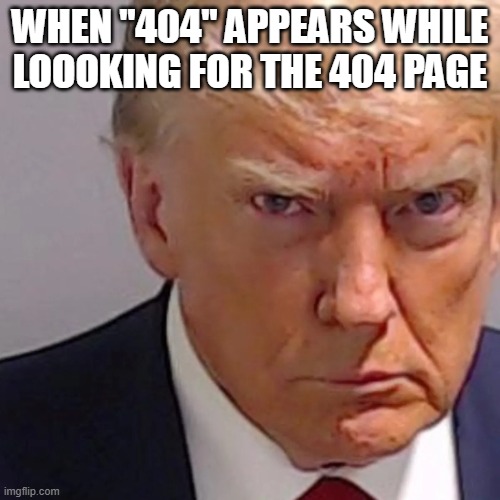 404 404 meme | WHEN "404" APPEARS WHILE LOOOKING FOR THE 404 PAGE | image tagged in trump mugshot,error 404 | made w/ Imgflip meme maker