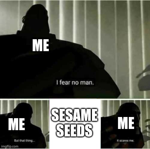 I fear no man | ME; ME; ME; SESAME SEEDS | image tagged in i fear no man | made w/ Imgflip meme maker