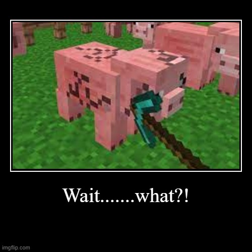 wtf | Wait.......what?! | | image tagged in funny,demotivationals,minecraft memes | made w/ Imgflip demotivational maker