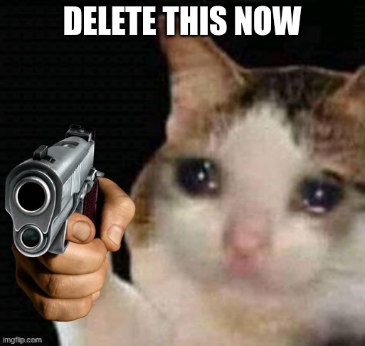 Sad cat pointing gun | DELETE THIS NOW | image tagged in sad cat pointing gun | made w/ Imgflip meme maker