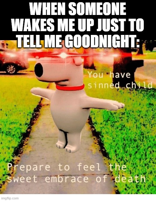 The handgun in my back pocket: | WHEN SOMEONE WAKES ME UP JUST TO TELL ME GOODNIGHT: | image tagged in you have sinned child prepare to feel the sweet embrace of death,so you have chosen death,brian,lol,why,brain before sleep | made w/ Imgflip meme maker
