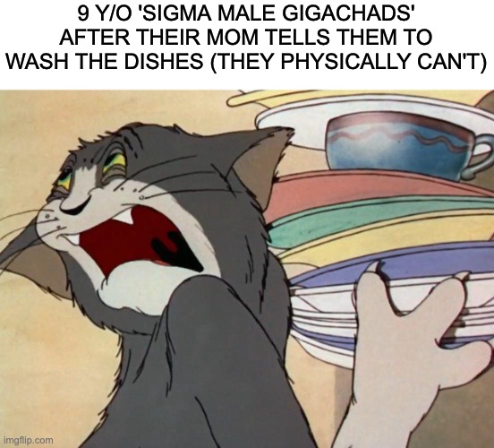 idk | 9 Y/O 'SIGMA MALE GIGACHADS' AFTER THEIR MOM TELLS THEM TO WASH THE DISHES (THEY PHYSICALLY CAN'T) | image tagged in tom the cat holding dishes | made w/ Imgflip meme maker