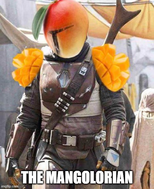 This is the Fruit | THE MANGOLORIAN | image tagged in mandolorian | made w/ Imgflip meme maker