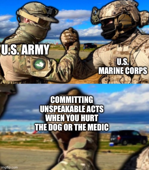 Soldiers teaming | U.S. MARINE CORPS; U.S. ARMY; COMMITTING UNSPEAKABLE ACTS WHEN YOU HURT THE DOG OR THE MEDIC | image tagged in soldiers teaming,military humor,us army,us marines,memes,war crimes | made w/ Imgflip meme maker