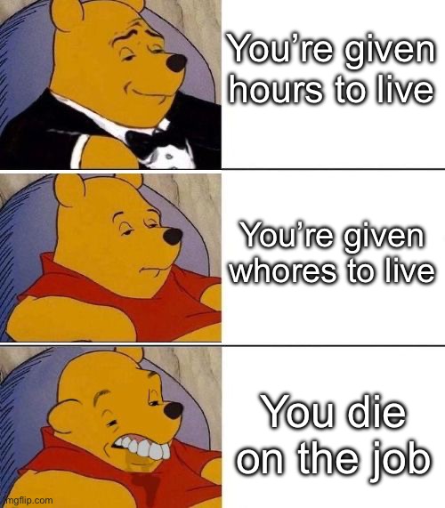 Tuxedo on Top Winnie The Pooh (3 panel) | You’re given hours to live You die on the job You’re given whores to live | image tagged in tuxedo on top winnie the pooh 3 panel | made w/ Imgflip meme maker