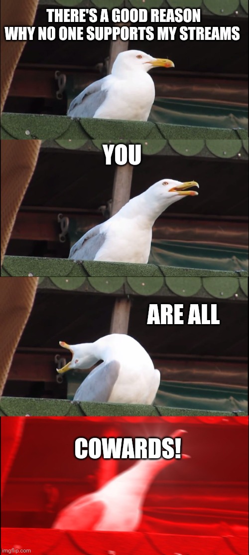 Spineless Cowards | THERE'S A GOOD REASON WHY NO ONE SUPPORTS MY STREAMS; YOU; ARE ALL; COWARDS! | image tagged in memes,inhaling seagull | made w/ Imgflip meme maker