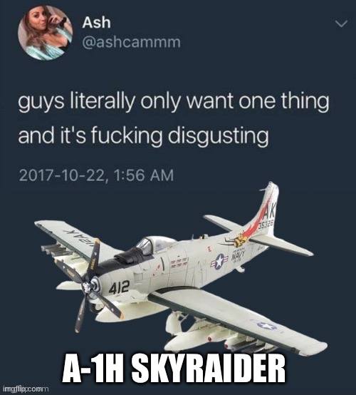 Guys literally only want one thing... | A-1H SKYRAIDER | image tagged in guys literally only want one thing,skyraider,plane,veitnam war,memes,aviation | made w/ Imgflip meme maker