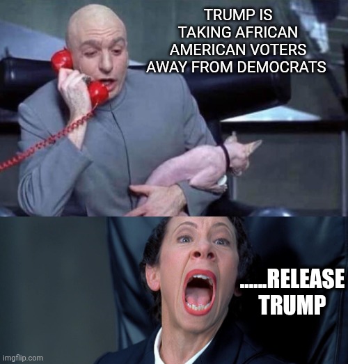 Demon...crats | TRUMP IS TAKING AFRICAN AMERICAN VOTERS AWAY FROM DEMOCRATS; ......RELEASE TRUMP | image tagged in dr evil and frau | made w/ Imgflip meme maker
