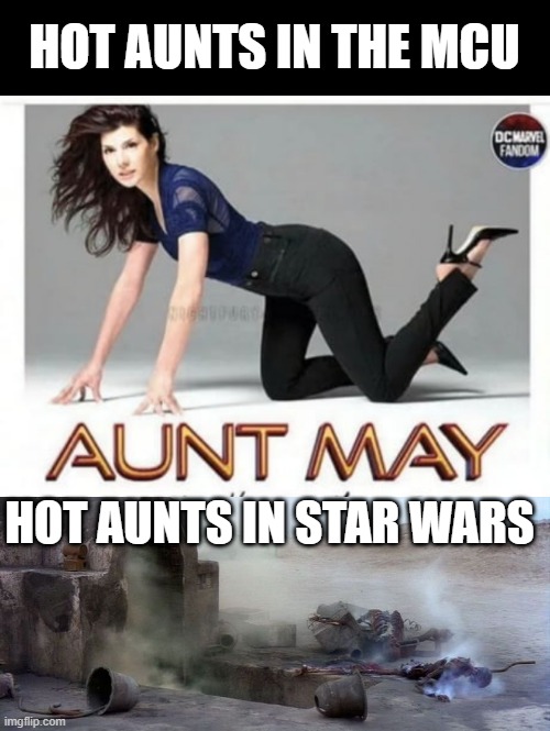 Aunts | HOT AUNTS IN THE MCU; HOT AUNTS IN STAR WARS | image tagged in aunt may,sick burn uncle owen | made w/ Imgflip meme maker