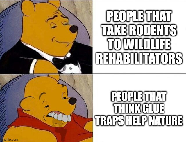 Tuxedo Winnie the Pooh grossed reverse | PEOPLE THAT TAKE RODENTS TO WILDLIFE REHABILITATORS; PEOPLE THAT THINK GLUE TRAPS HELP NATURE | image tagged in tuxedo winnie the pooh grossed reverse | made w/ Imgflip meme maker