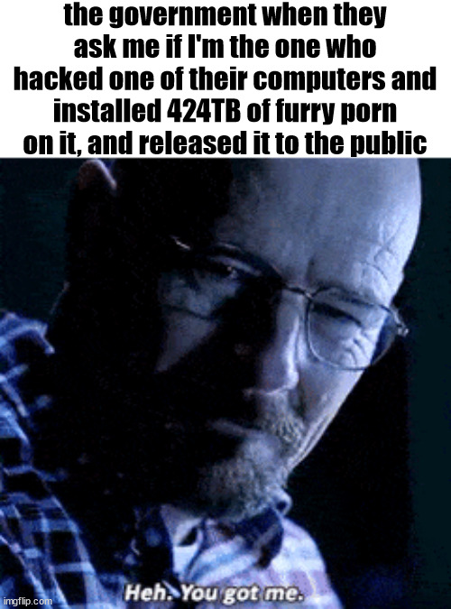 oh, new meme temp btw, feel free to use | the government when they ask me if I'm the one who hacked one of their computers and installed 424TB of furry porn on it, and released it to the public | image tagged in walter white you got me | made w/ Imgflip meme maker