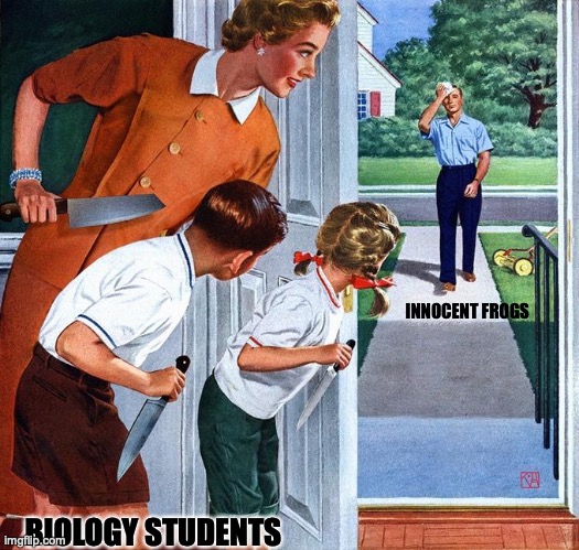 poor frogs | INNOCENT FROGS; BIOLOGY STUDENTS | image tagged in waiting for dad | made w/ Imgflip meme maker