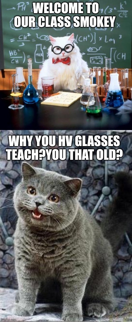 WELCOME TO OUR CLASS SMOKEY; WHY YOU HV GLASSES TEACH?YOU THAT OLD? | image tagged in memes,chemistry cat,i can has cheezburger cat | made w/ Imgflip meme maker