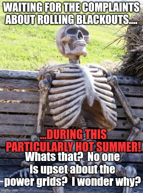 Is your source not upset?  Why not? | WAITING FOR THE COMPLAINTS ABOUT ROLLING BLACKOUTS.... ...DURING THIS PARTICULARLY HOT SUMMER! Whats that?  No one is upset about the power grids?  I wonder why? | image tagged in memes,waiting skeleton | made w/ Imgflip meme maker