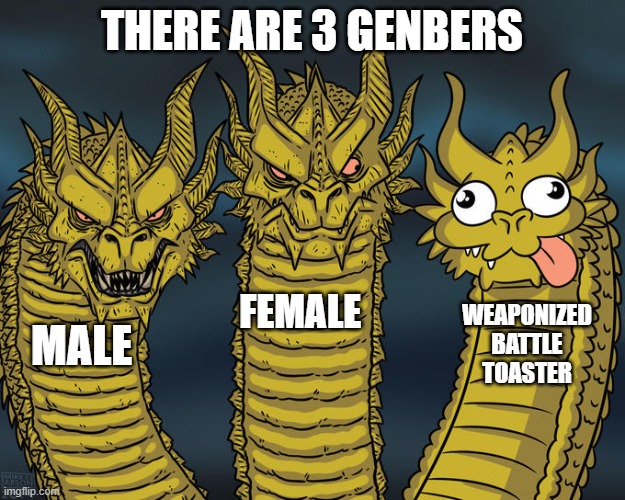in respond to GoldenSonic2929q9 | THERE ARE 3 GENBERS; FEMALE; WEAPONIZED BATTLE TOASTER; MALE | image tagged in three-headed dragon,there are 3 rules,gender,funny,memes,funny meme | made w/ Imgflip meme maker