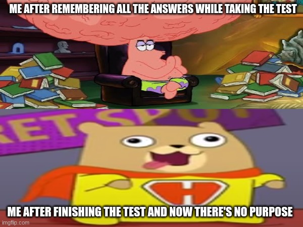 Studying can be a gift and a curse | ME AFTER REMEMBERING ALL THE ANSWERS WHILE TAKING THE TEST; ME AFTER FINISHING THE TEST AND NOW THERE'S NO PURPOSE | image tagged in education,spongebob,hamster and gretel,memes,SpongebobMeBoy | made w/ Imgflip meme maker