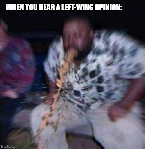 WHEN YOU HEAR A LEFT-WING OPINION: | made w/ Imgflip meme maker