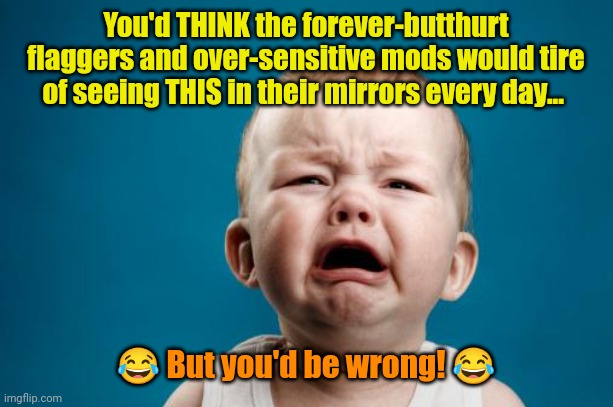 crybaby | You'd THINK the forever-butthurt flaggers and over-sensitive mods would tire of seeing THIS in their mirrors every day... ? But you'd be wro | image tagged in crybaby | made w/ Imgflip meme maker