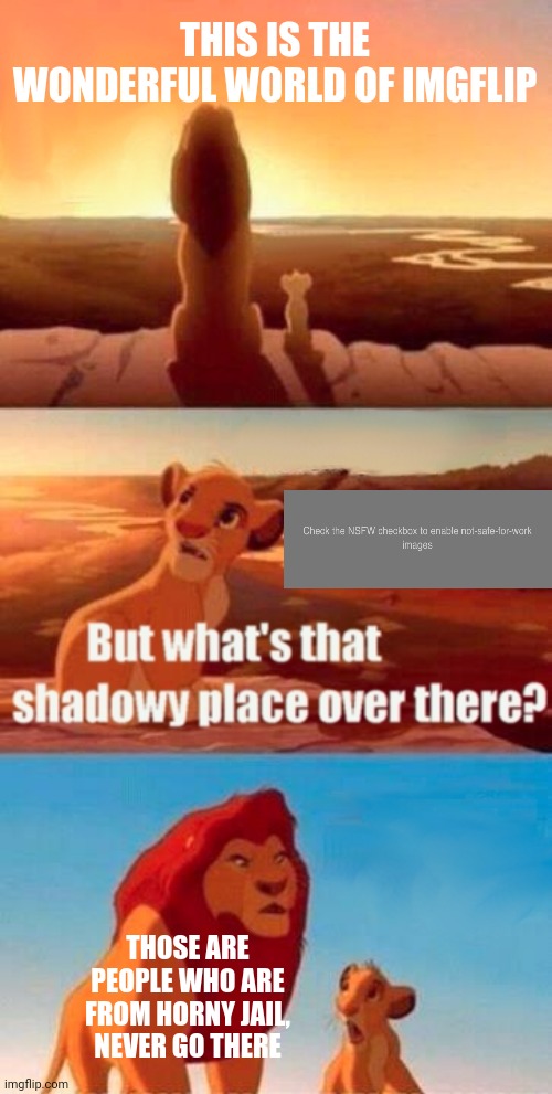 /hj | THIS IS THE WONDERFUL WORLD OF IMGFLIP; THOSE ARE PEOPLE WHO ARE FROM HORNY JAIL, NEVER GO THERE | image tagged in memes,simba shadowy place | made w/ Imgflip meme maker