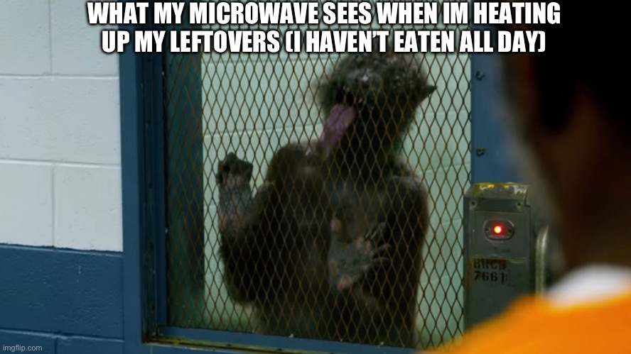 leftovers | WHAT MY MICROWAVE SEES WHEN IM HEATING UP MY LEFTOVERS (I HAVEN’T EATEN ALL DAY) | image tagged in what my microwave sees,fresh memes,funny,memes | made w/ Imgflip meme maker