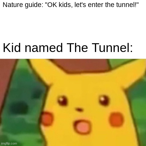 No one is gonna read this title, so I'll just say I'm gay and live in a barrel floating in the Pacific Ocean. | Nature guide: "OK kids, let's enter the tunnel!"; Kid named The Tunnel: | image tagged in memes,surprised pikachu | made w/ Imgflip meme maker