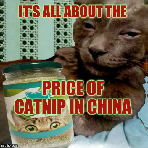 Shit Poster 4 Lyfe | IT'S ALL ABOUT THE PRICE OF CATNIP IN CHINA | image tagged in ship osta 4 lyfe | made w/ Imgflip meme maker