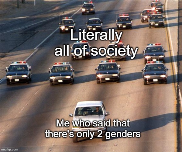 THERE WAS LITERALLY A 3RD BUTTON FOR WHICH GENDER YOU ARE ON A COLLEGE BOARD ACCOUNT CREATOR | Literally all of society; Me who said that there's only 2 genders | image tagged in oj simpson police chase,memes,funny,why,there's only 2 genders people accept that already,the truth | made w/ Imgflip meme maker