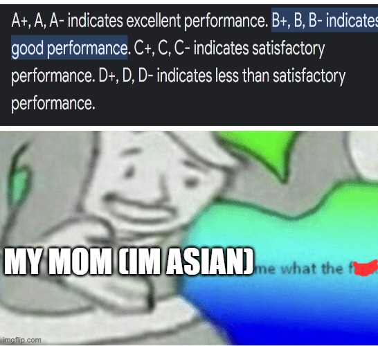 true tho | MY MOM (IM ASIAN) | image tagged in excuse me wtf blank template,memes,asian,why are you reading the tags,stop reading the tags | made w/ Imgflip meme maker