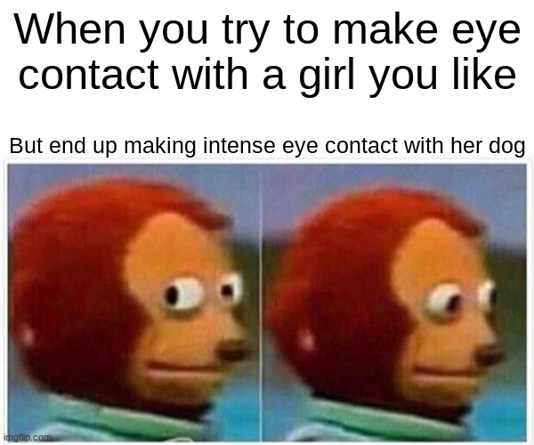 Monkey Puppet | When you try to make eye contact with a girl you like; But end up making intense eye contact with her dog | image tagged in memes,monkey puppet | made w/ Imgflip meme maker
