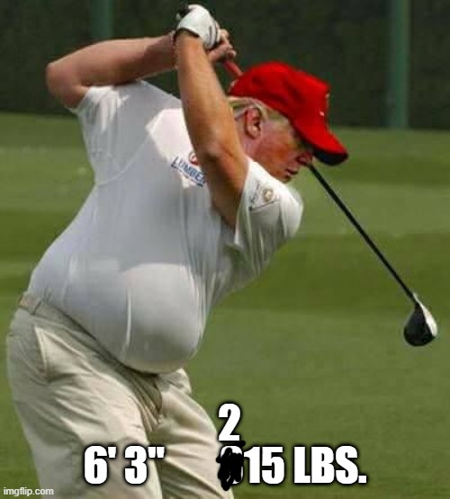 Trump Stats | 2; 6' 3"       315 LBS. | image tagged in trump golf gut | made w/ Imgflip meme maker