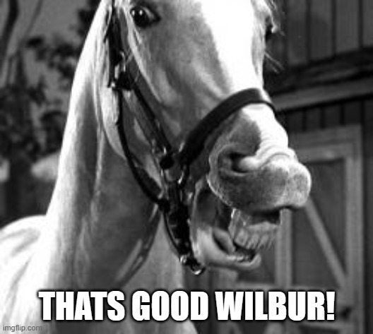 mr. ed | THATS GOOD WILBUR! | image tagged in mr ed | made w/ Imgflip meme maker